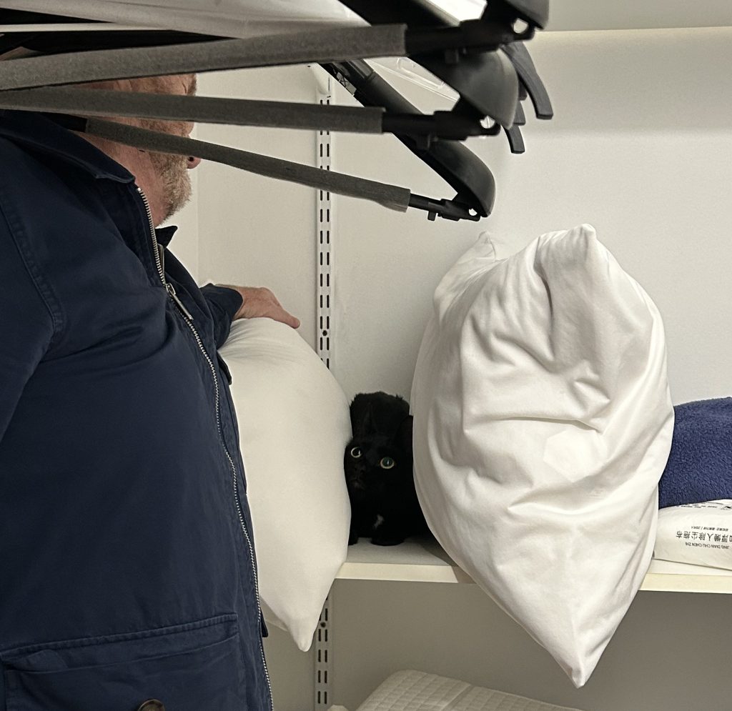 A person standing next to a shelf, holding a pillow, with a hidden black cat peeking out from behind white pillows.